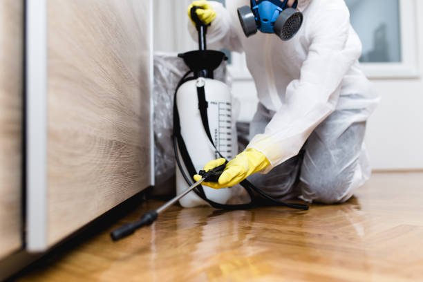 Best Pest Control Treatment  in Union City, MI