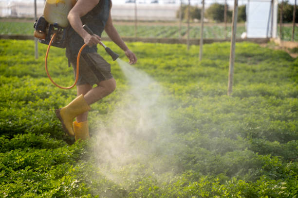 Best Residential Pest Control  in Union City, MI