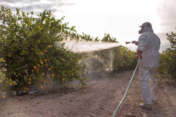 Best Flea Control Services  in Union City, MI