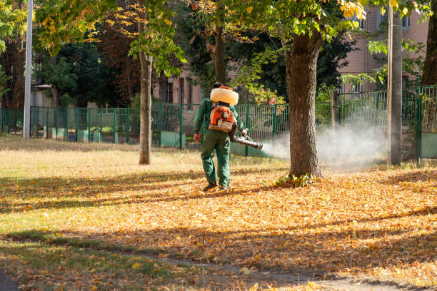 Best Local Pest Control Services  in Union City, MI