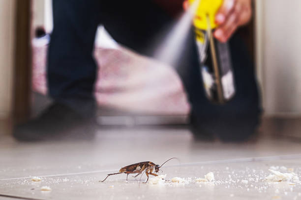 Best Best Pest Control Companies  in Union City, MI
