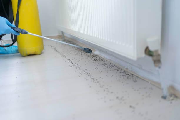 Best Pest Prevention Services  in Union City, MI