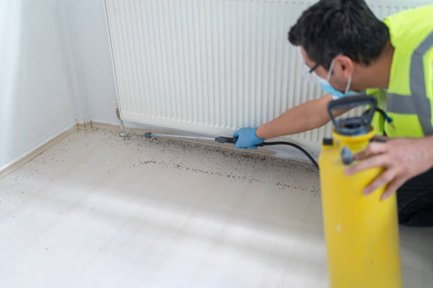 Best Pest Control Cost  in Union City, MI