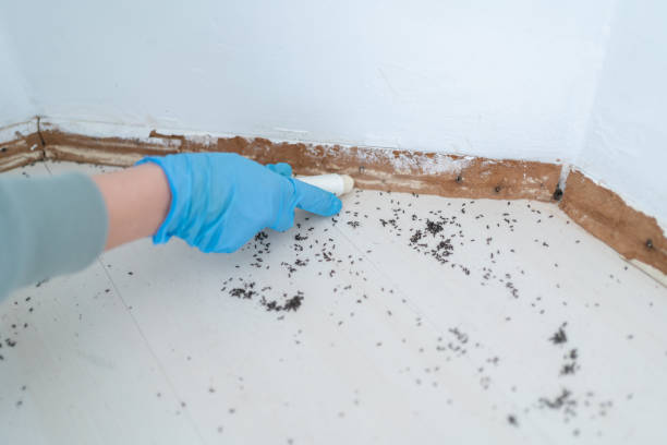 Pest Control Cost in Union City, MI