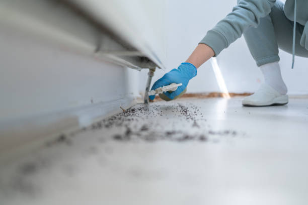 Best Bed Bug Extermination  in Union City, MI