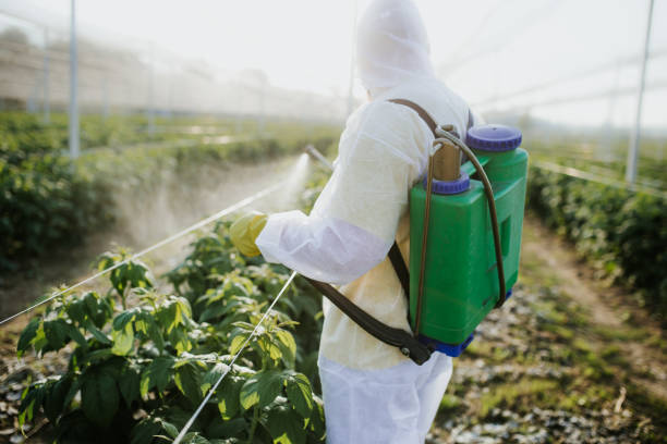 Best Mosquito Control Services  in Union City, MI
